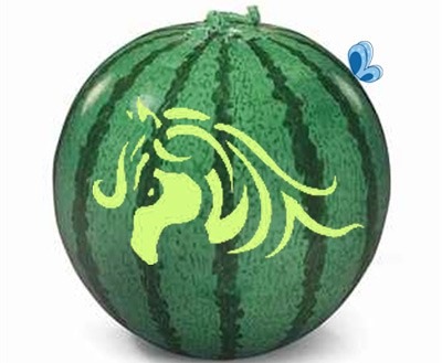 عکس الگوی سر اسب روی هندوانه