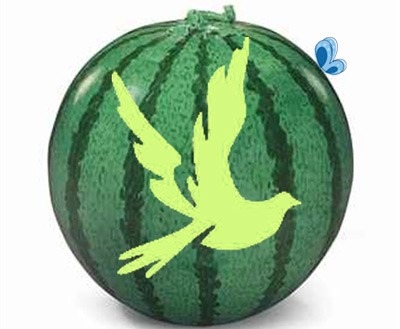 عکس الگوی کبوتر روی هندوانه