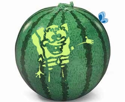 عکس الگوی باب اسفنجی روی هندوانه