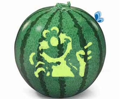 عکس الگوی جتاب خان روی هندوانه
