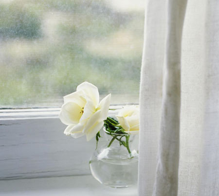 عکس گل کنار پنجره