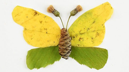 عکس ساخت پروانه با برگ