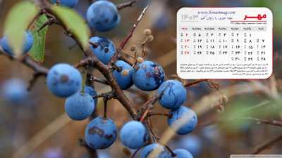 عکس میوه وحشی