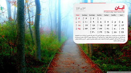 عکس باران جنگل