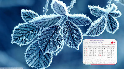 عکس برگ یخ زده