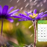 عکس تقویم دسکتاپ فرورودین 404