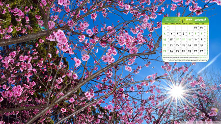 عکس تقویم فرورودین 404